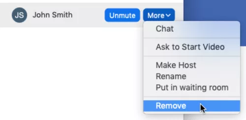 Zoom mute remove