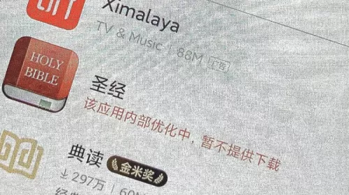 Chinese app store